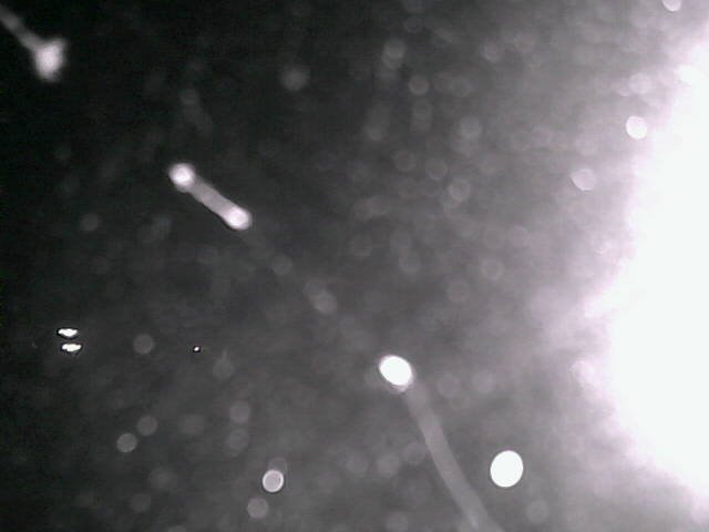 time-lapse frame, Cowes Yacht Club - North webcam