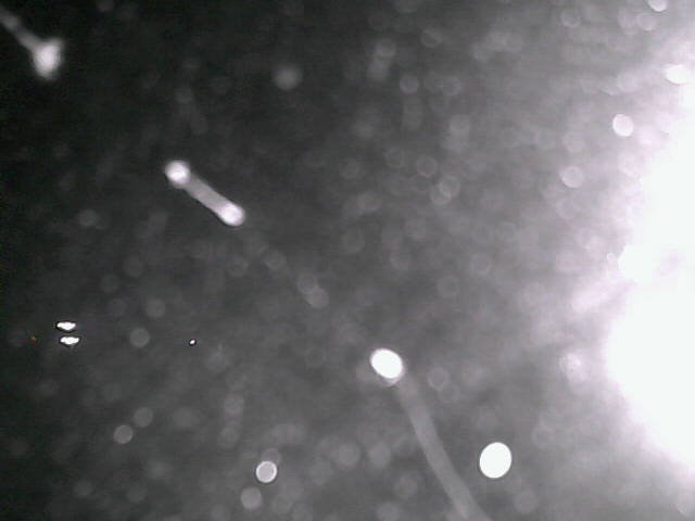 time-lapse frame, Cowes Yacht Club - North webcam