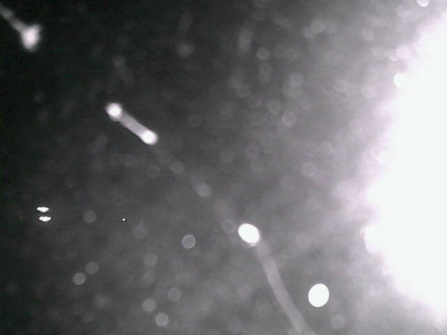 time-lapse frame, Cowes Yacht Club - North webcam