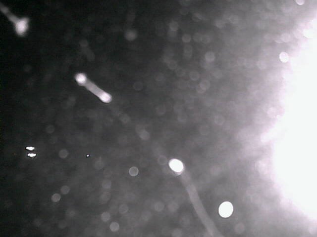 time-lapse frame, Cowes Yacht Club - North webcam