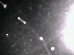 view from Cowes Yacht Club - North on 2026-05-01