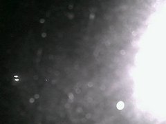 view from Cowes Yacht Club - North on 2026-08-17