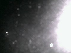 view from Cowes Yacht Club - North on 2026-08-17