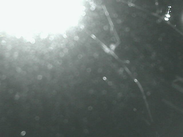 time-lapse frame, Cowes Yacht Club - West webcam