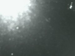 view from Cowes Yacht Club - West on 2026-04-23