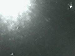 view from Cowes Yacht Club - West on 2026-04-23