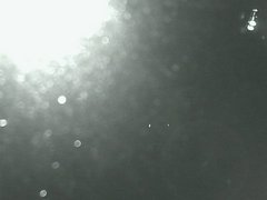 view from Cowes Yacht Club - West on 2026-08-20