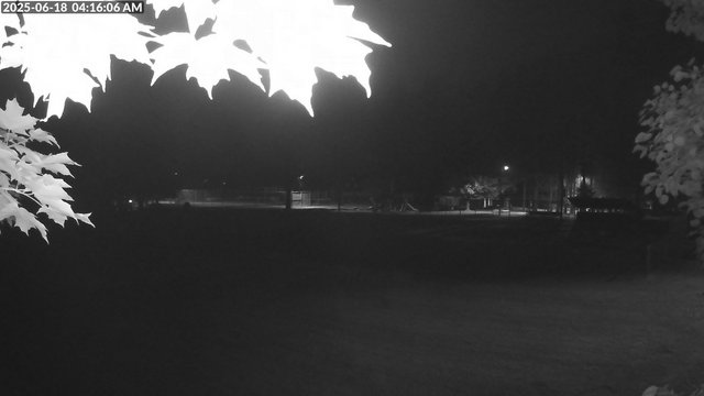 time-lapse frame, Arrowhead Park webcam