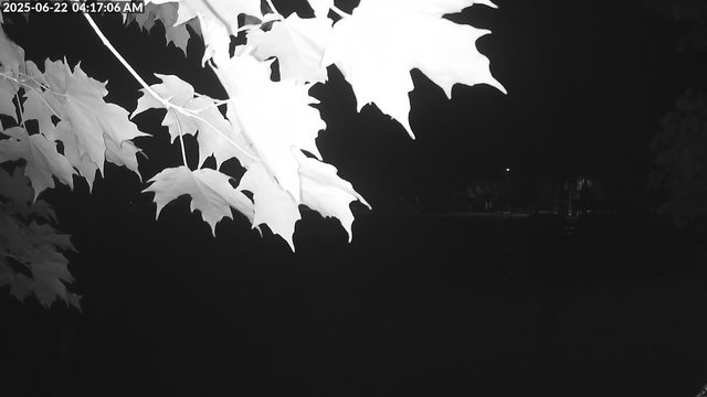 time-lapse frame, Arrowhead Park webcam