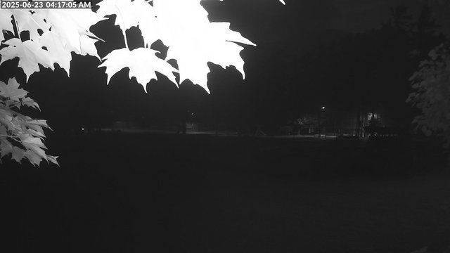time-lapse frame, Arrowhead Park webcam