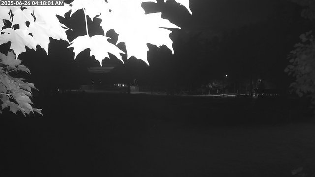 time-lapse frame, Arrowhead Park webcam