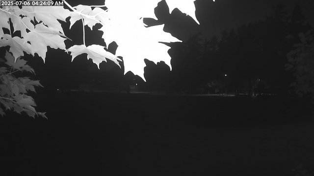 time-lapse frame, Arrowhead Park webcam
