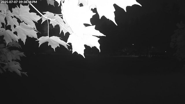 Arrowhead Park animated GIF