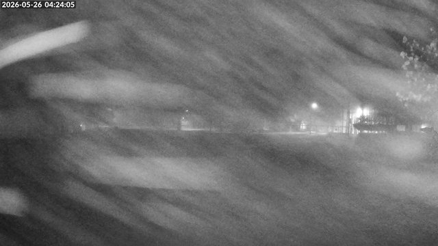 time-lapse frame, Arrowhead Park webcam