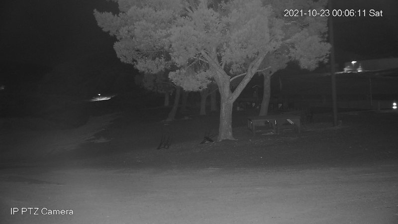 time-lapse frame, Canyon Crosswinds webcam
