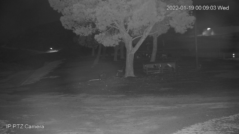 time-lapse frame, Canyon Crosswinds webcam