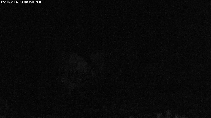 time-lapse frame, North West webcam
