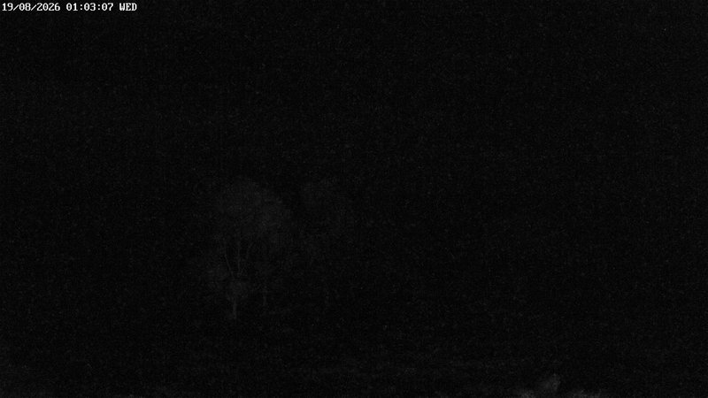 time-lapse frame, North West webcam