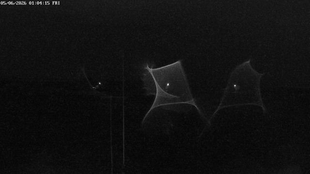 time-lapse frame, South  webcam