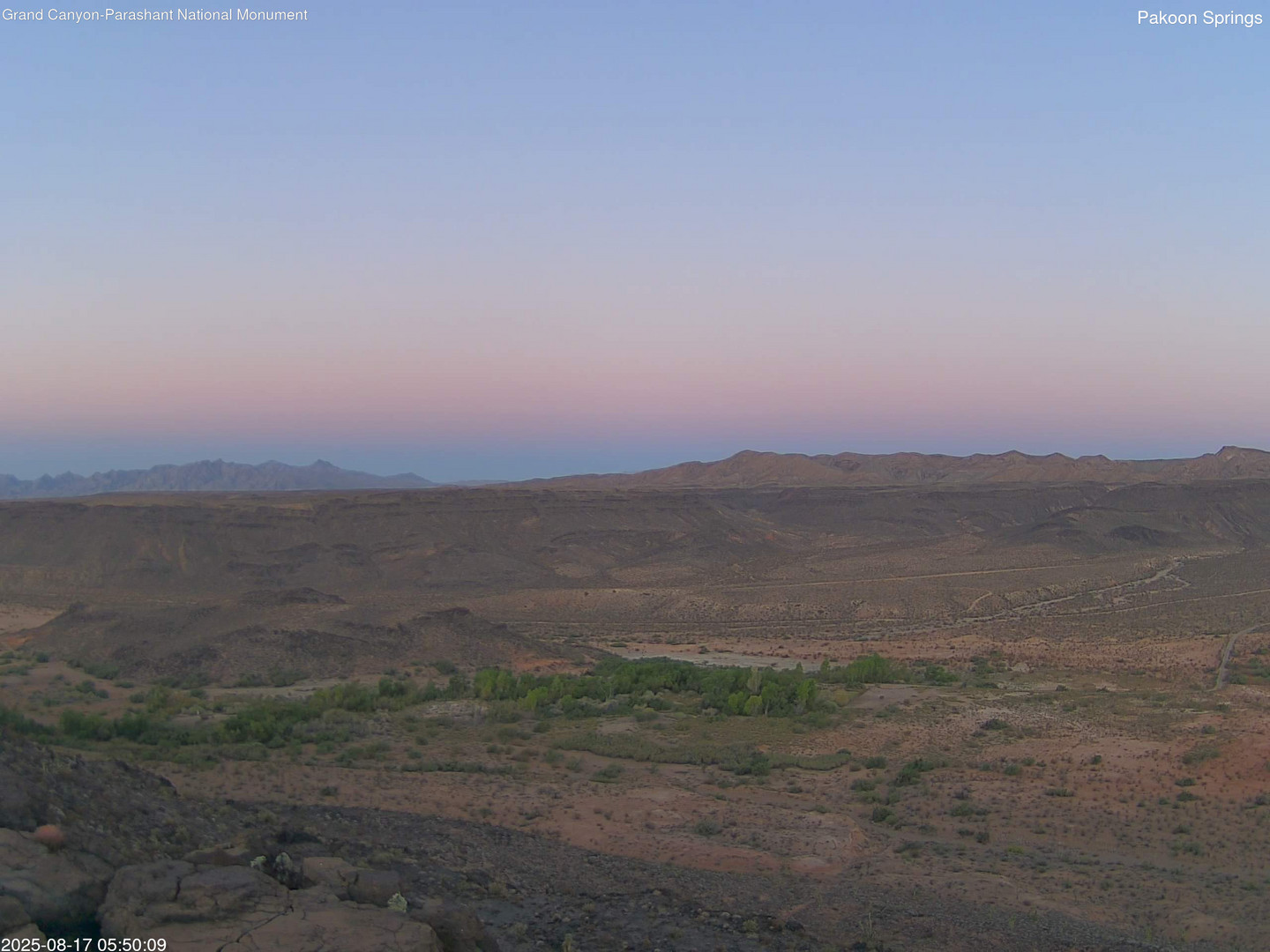 time-lapse frame, Pakoon Springs webcam