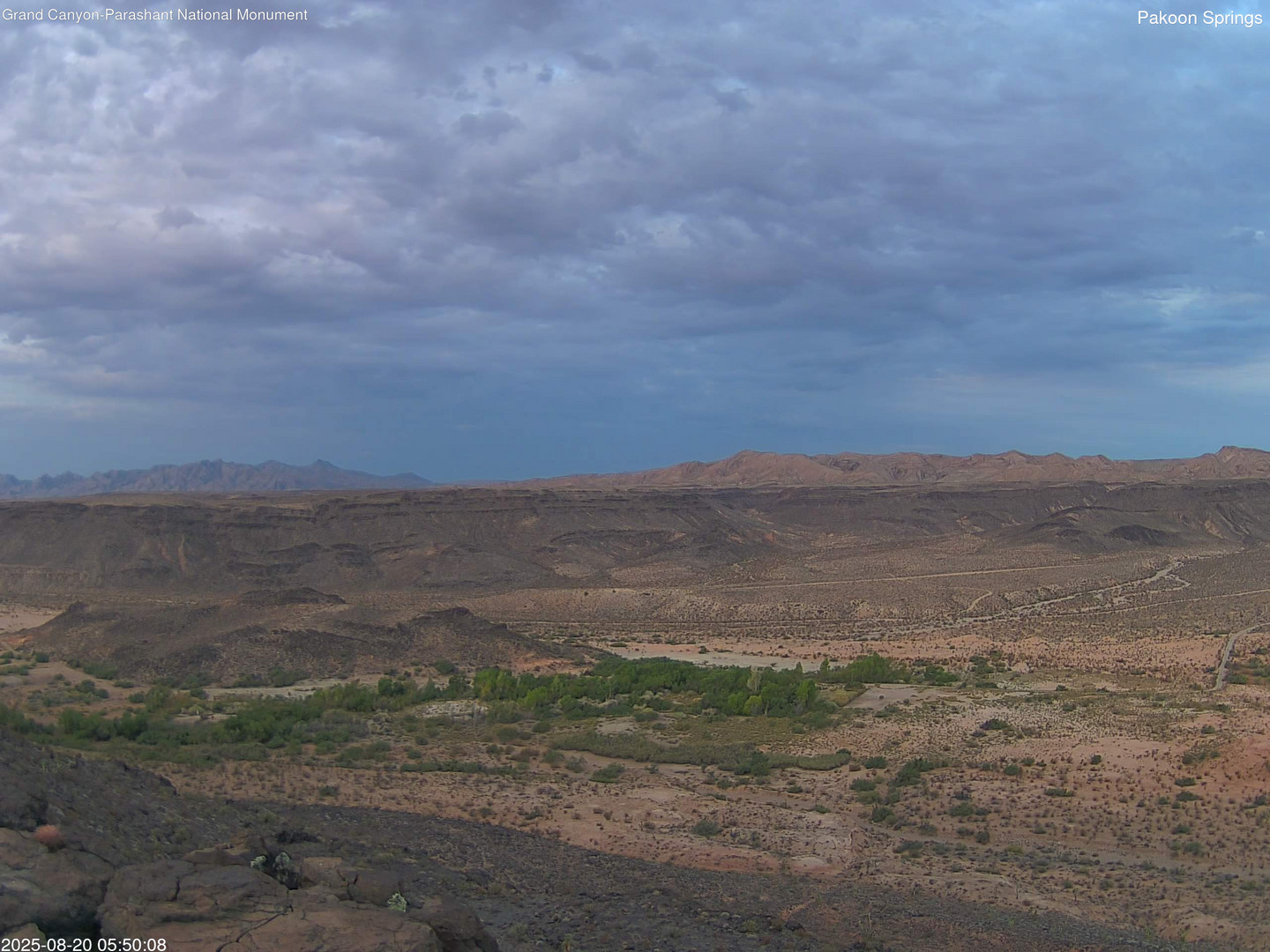 time-lapse frame, Pakoon Springs webcam