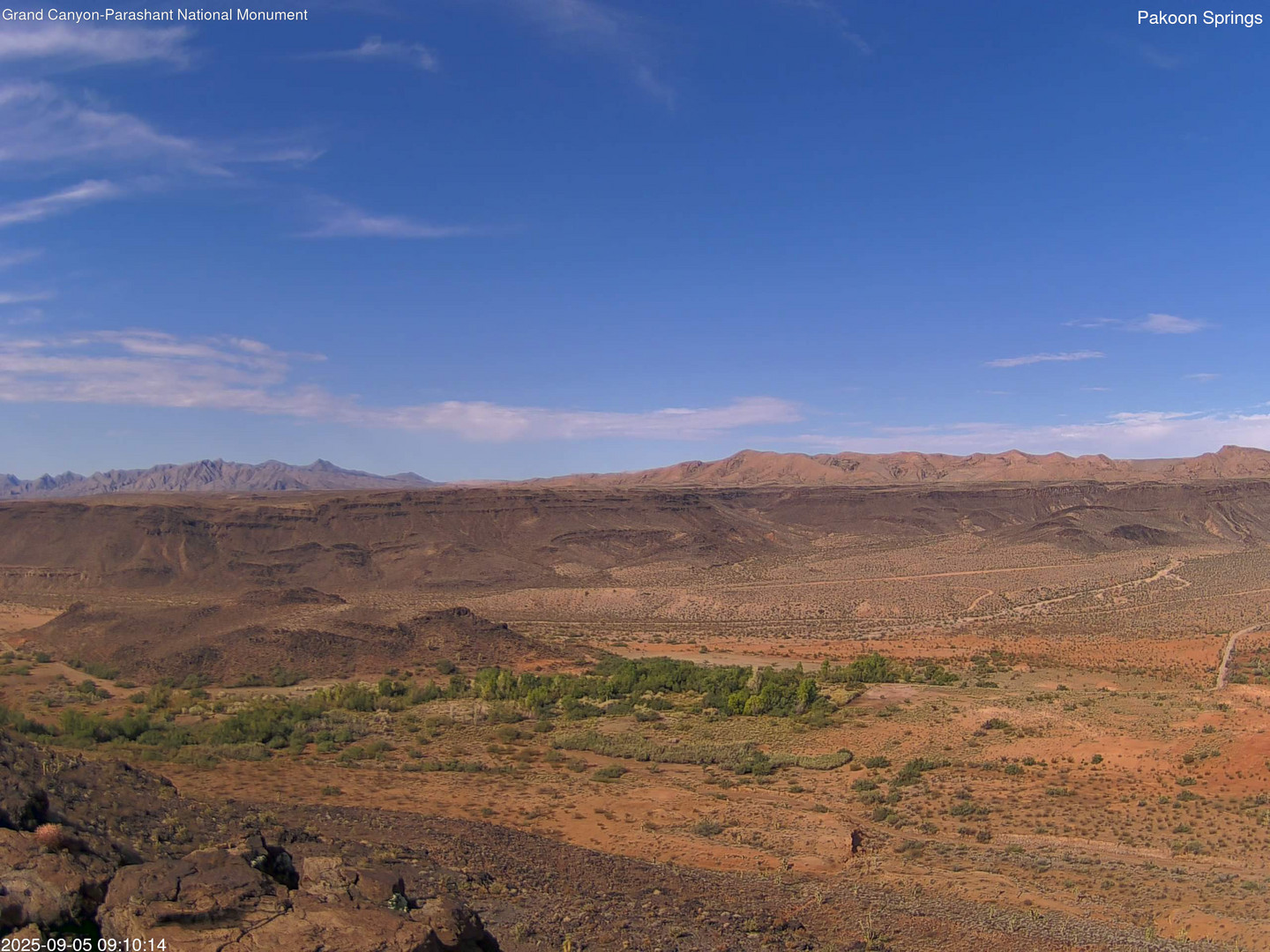time-lapse frame, Pakoon Springs webcam