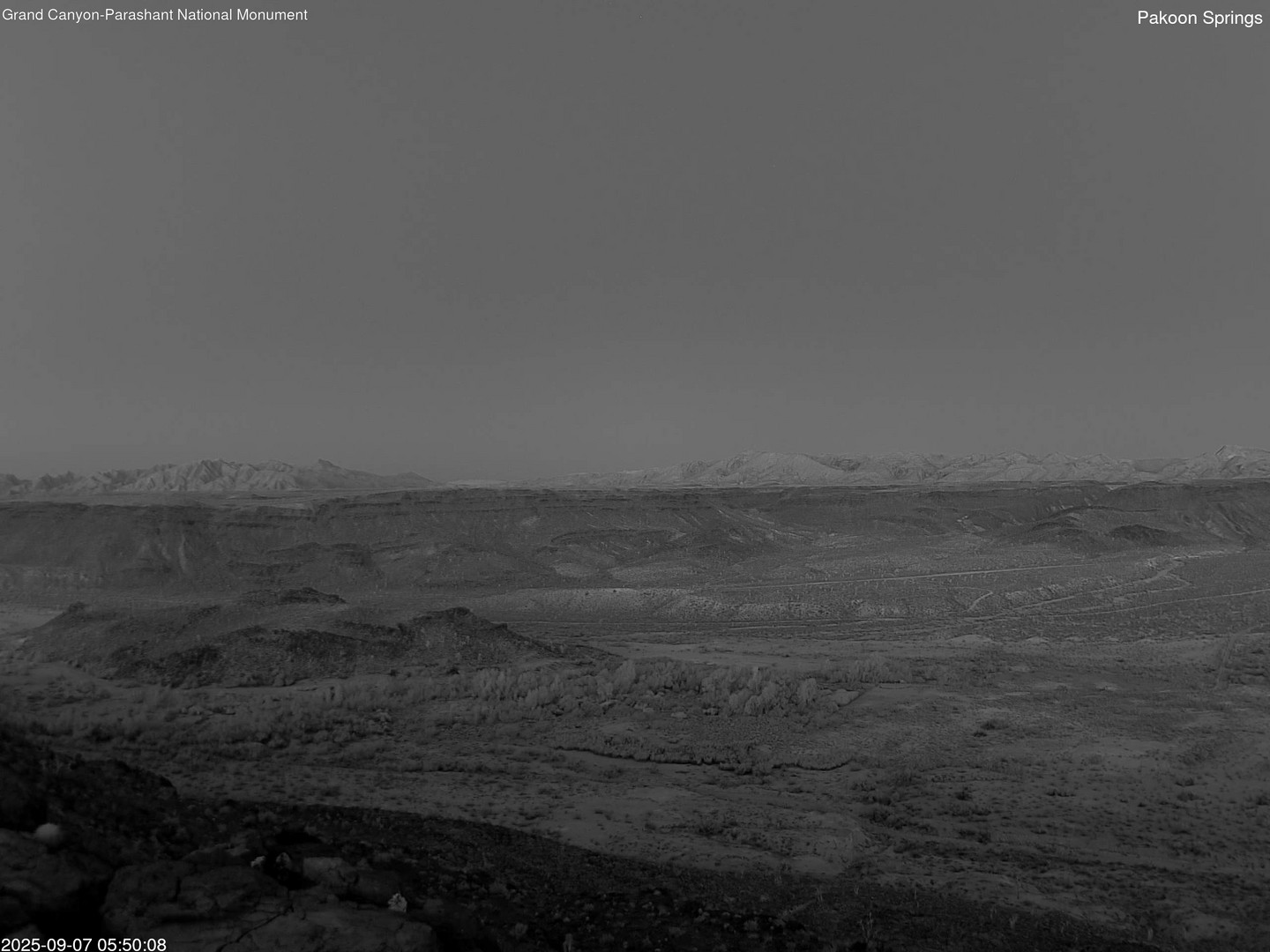 time-lapse frame, Pakoon Springs webcam