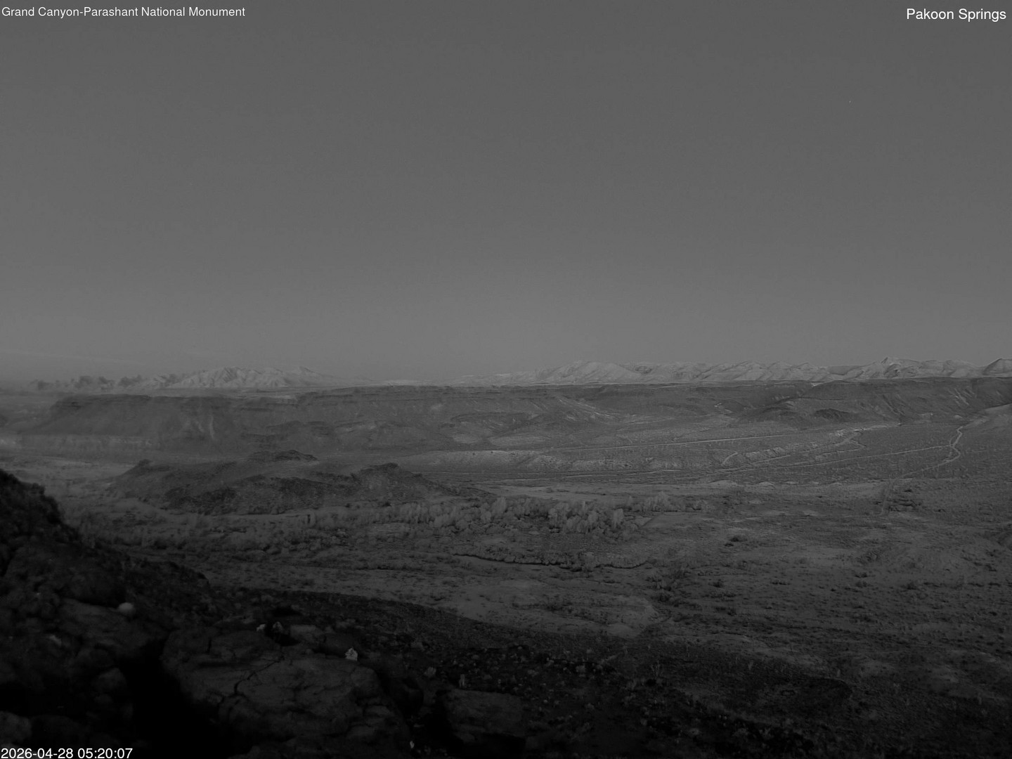 time-lapse frame, Pakoon Springs webcam