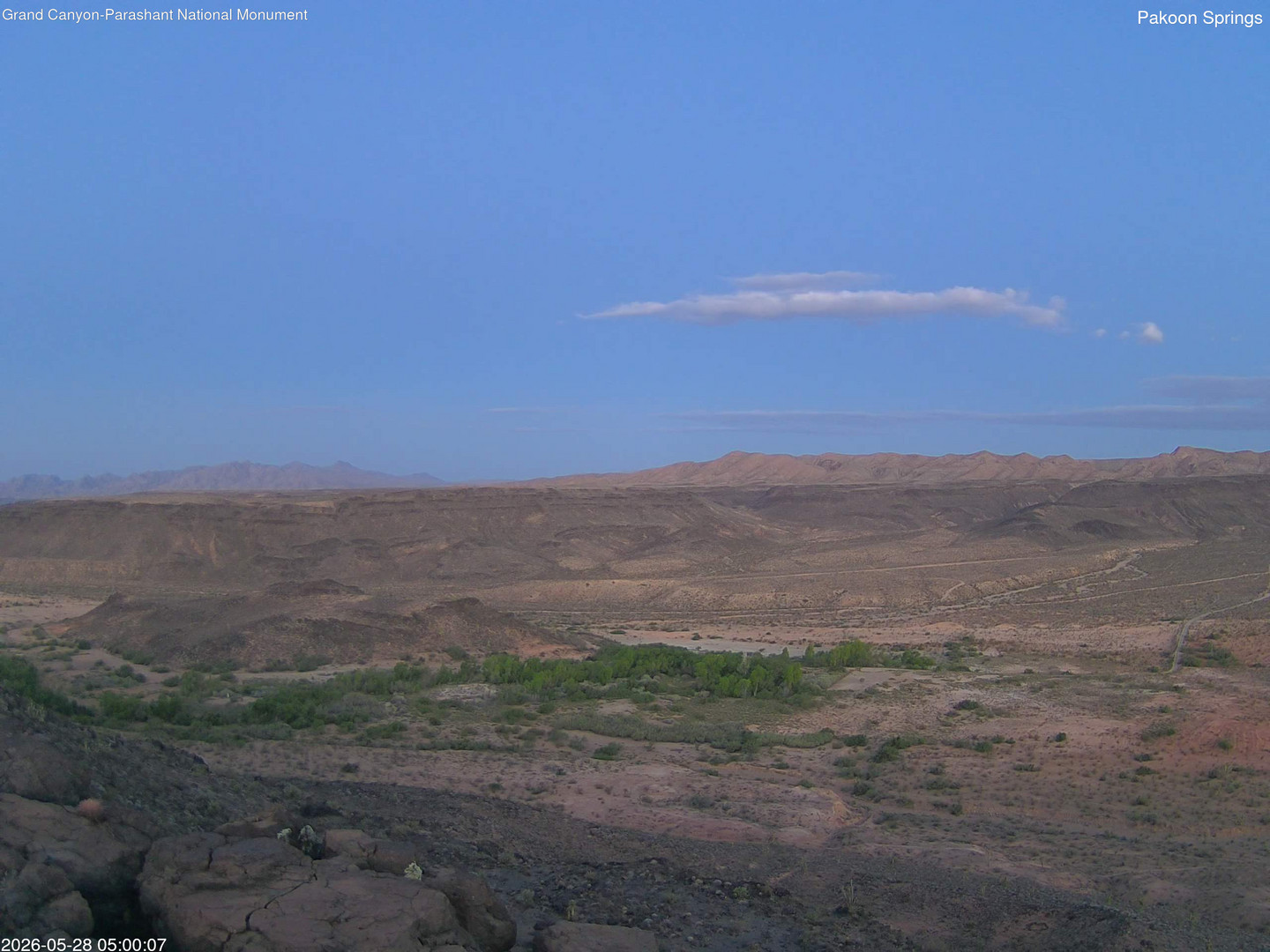time-lapse frame, Pakoon Springs webcam