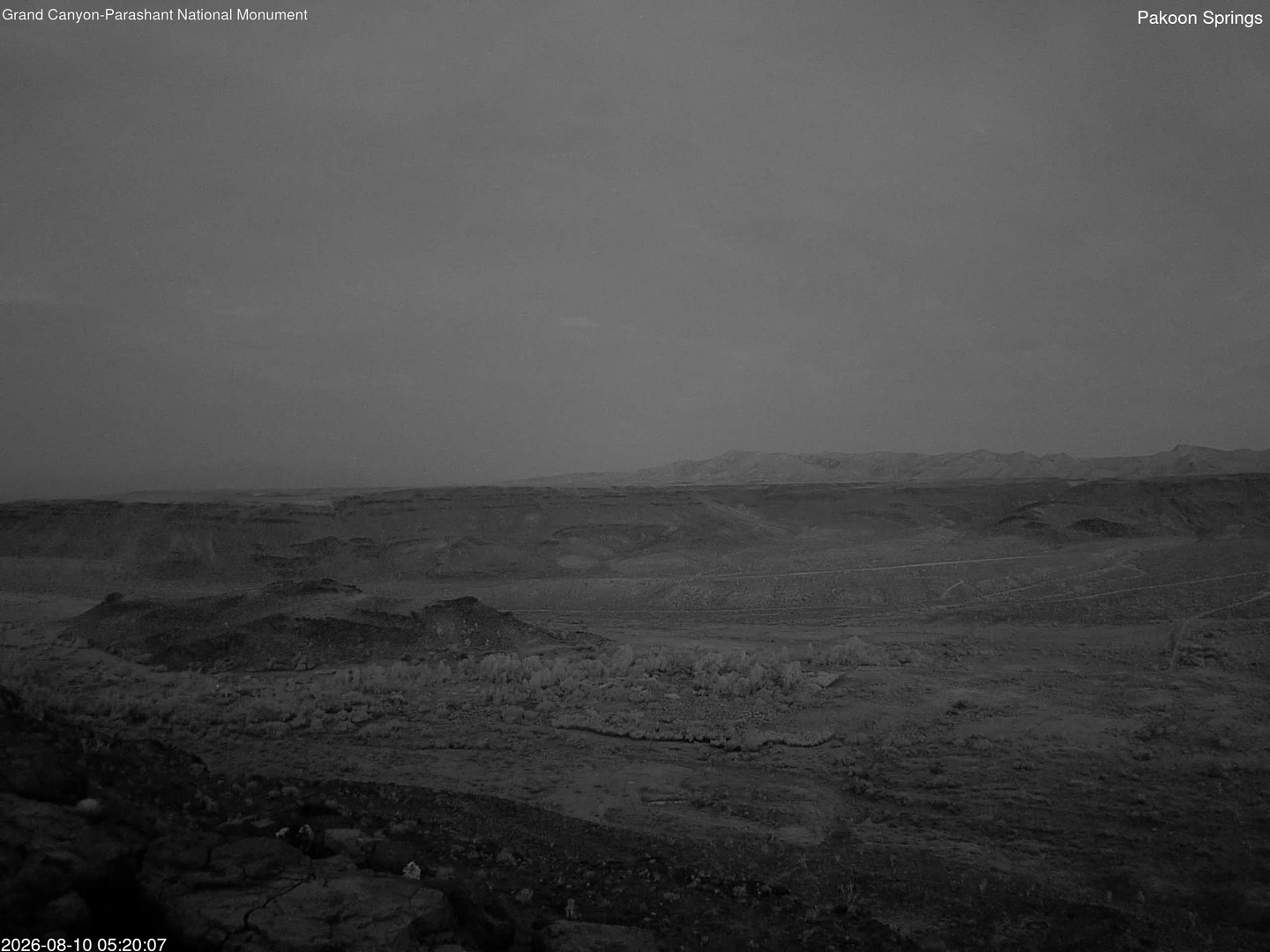 time-lapse frame, Pakoon Springs webcam