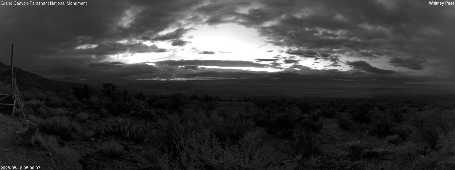 time-lapse frame, Whitney Pass webcam