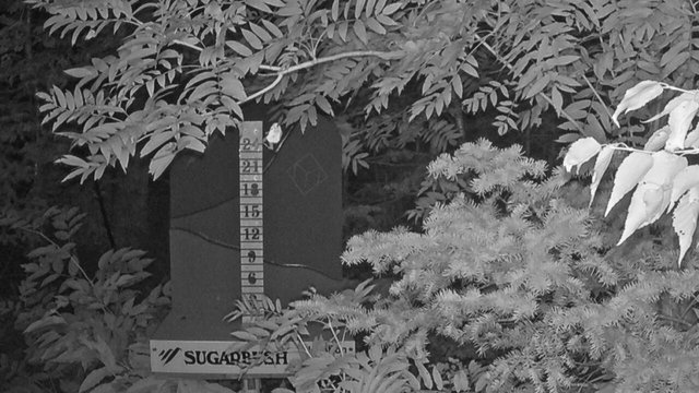 time-lapse frame, Sugarbush Mid-Mountain Snow Stake webcam