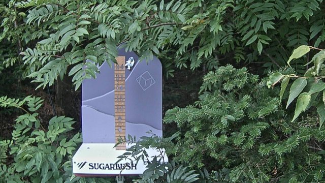 view from Sugarbush Mid-Mountain Snow Stake on 2026-08-22