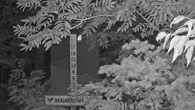 time-lapse frame, Sugarbush Mid-Mountain Snow Stake webcam