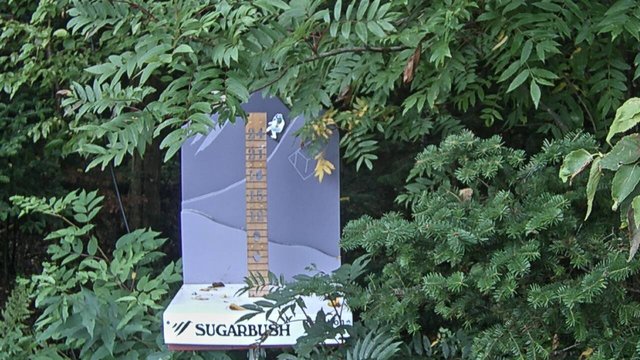 view from Sugarbush Mid-Mountain Snow Stake on 2026-09-03