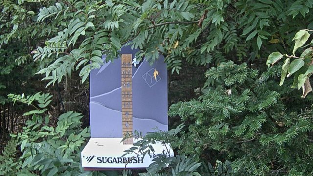 time-lapse frame, Sugarbush Mid-Mountain Snow Stake webcam