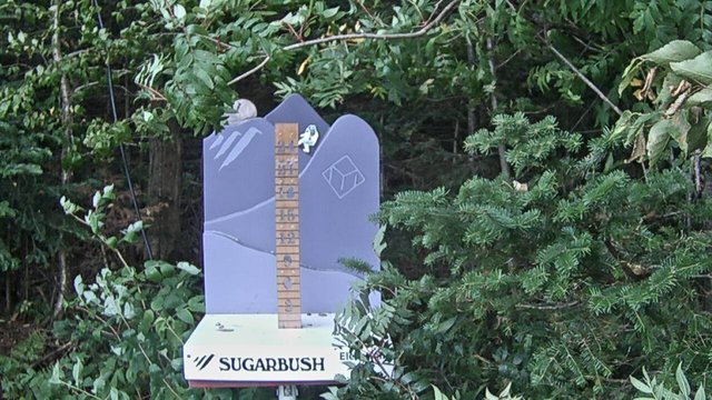Sugarbush Mid-Mou... animated GIF