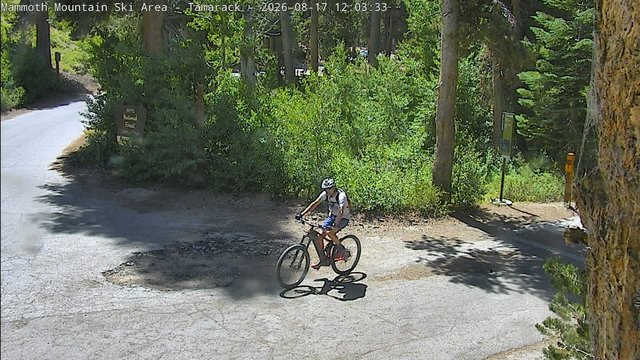 view from Mammoth Tamarack Lodge on 2026-08-17