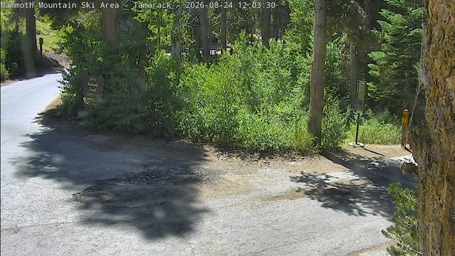 view from Mammoth Tamarack Lodge on 2026-08-24
