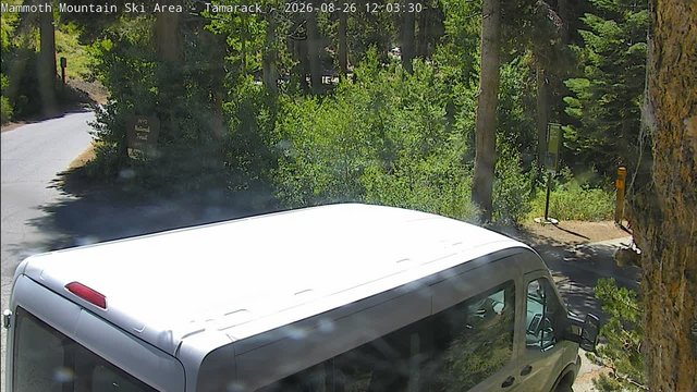 view from Mammoth Tamarack Lodge on 2026-08-26