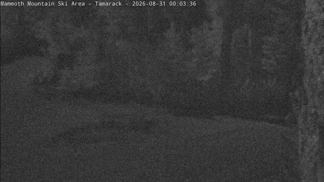time-lapse frame, Mammoth Tamarack Lodge webcam