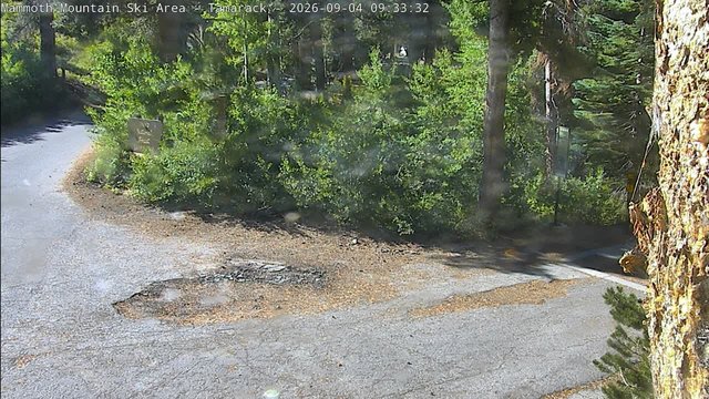 time-lapse frame, Mammoth Tamarack Lodge webcam