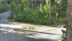 Mammoth Tamarack ... animated GIF