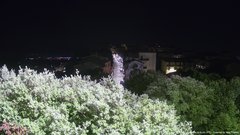 view from ACUTO on 2025-07-17
