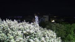 view from ACUTO on 2026-05-17