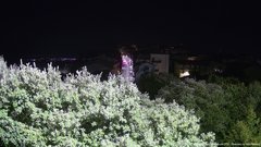 view from ACUTO on 2026-07-23