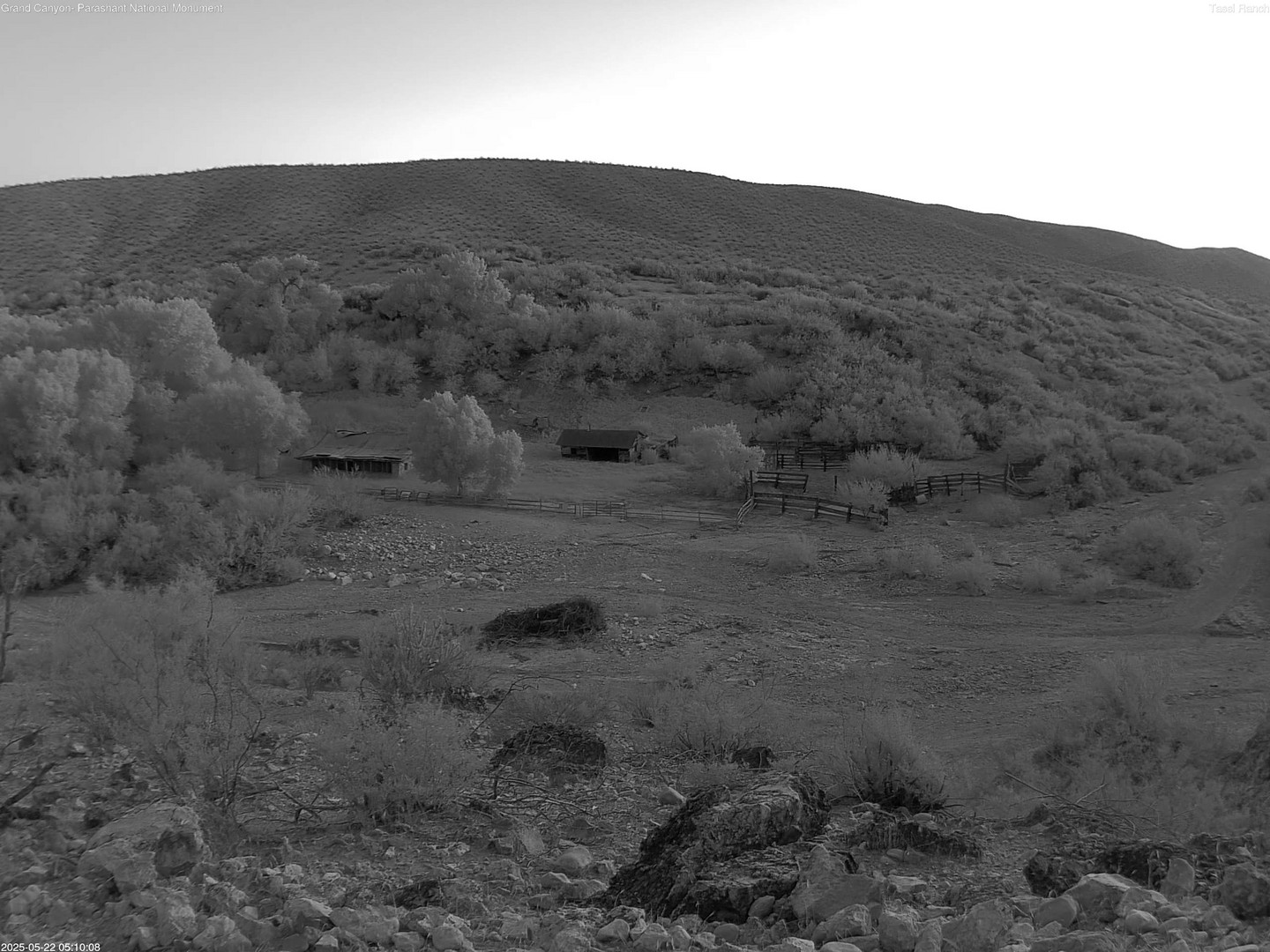 time-lapse frame, Tassi Ranch webcam