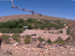 view from Tassi Ranch on 2025-05-28