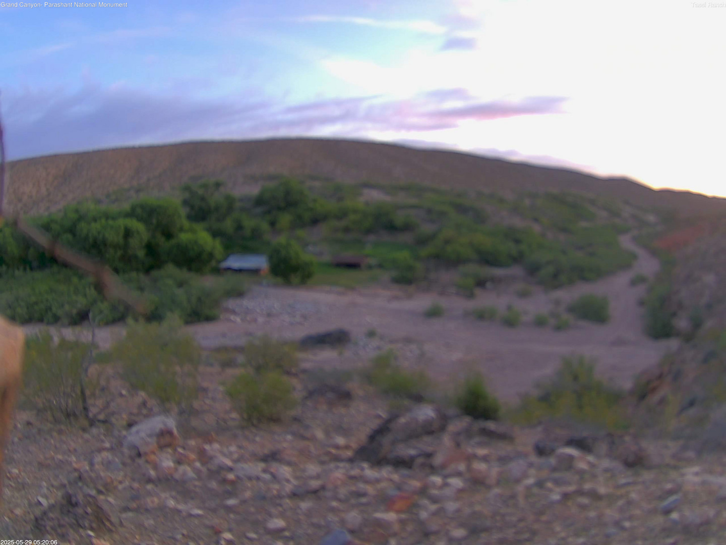 time-lapse frame, Tassi Ranch webcam