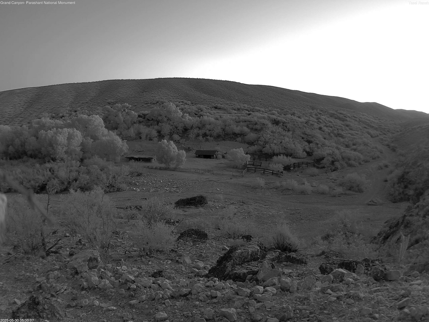 time-lapse frame, Tassi Ranch webcam